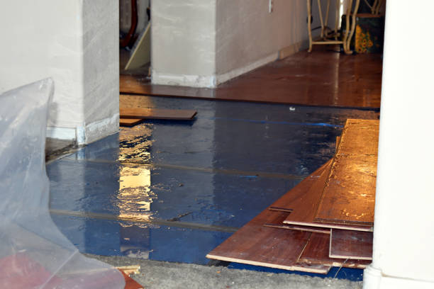 Professional Water Damage technician working in Pitcairn, PA